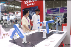 人形机械人的使用2025武汉工业从动化及机械人博